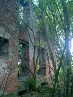 Dwór w Koszycach _1
