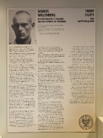 SAMUELA WILLENBERG GLOWA_3